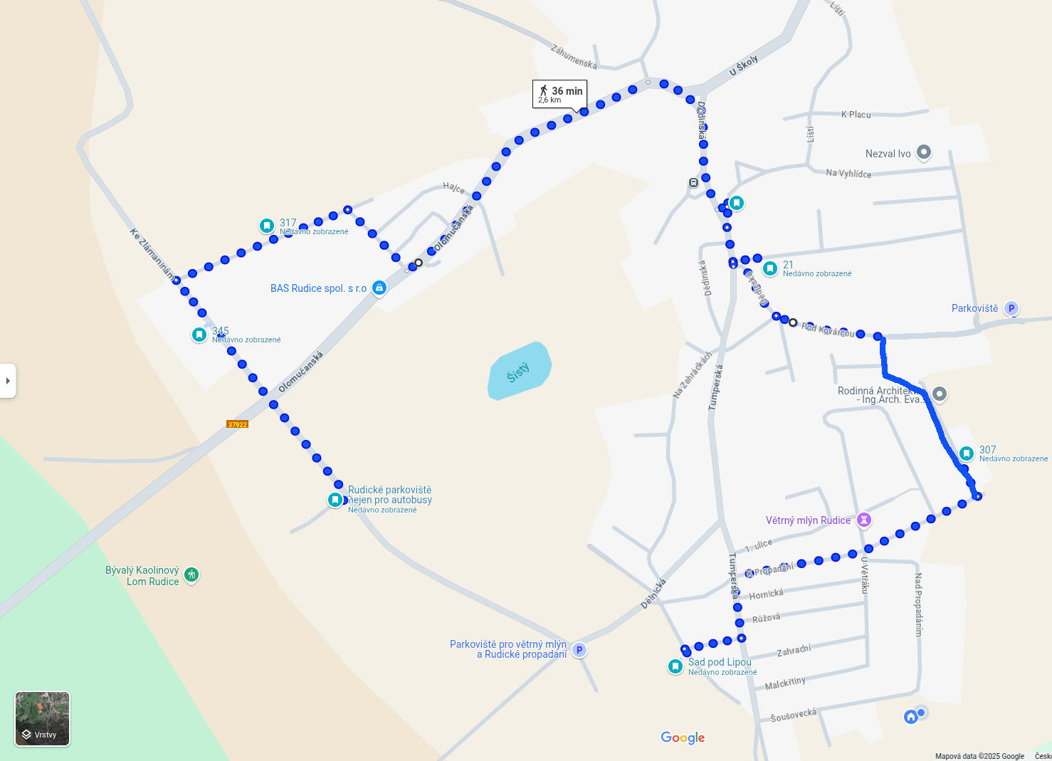 Map of the Festival Parade 2025